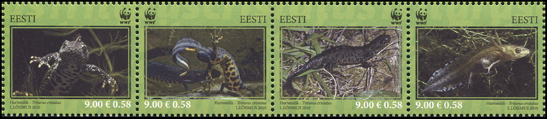 Эстония. 2010. Гребенчатый тритон (Серия. MNH OG)