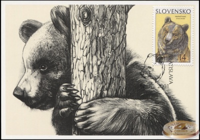 Словакия. 2001. Бурый медведь (Картмаксимум. M)