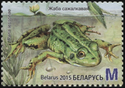 Беларусь. 2015. Лягушка прудовая (Почтовая марка. MNH OG)