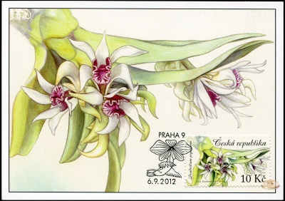 Чехия. 2012. Красота орхидей [Dendrobium peguanum] (Картмаксимум. M)