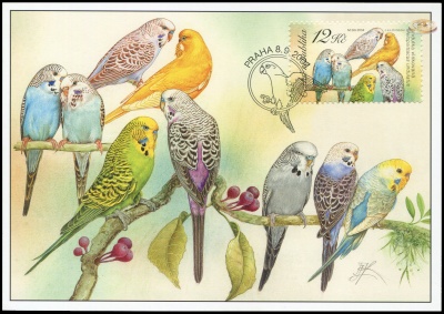 Чехия. 2004. Волнистый попугайчик [Melopsittacus undulatus] (Картмаксимум. M)