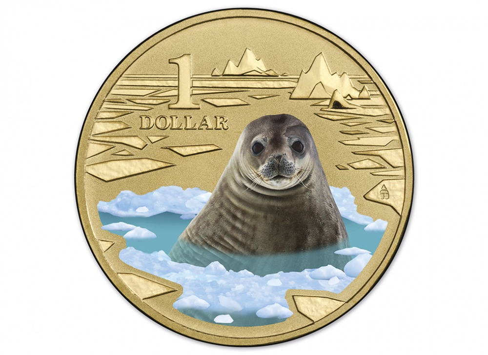 Австралия. 1 доллар. 2013 (Frosted Unc. Эмаль. Карточка)