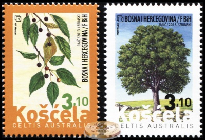 Босния и Герцеговина. 2013. Каркас южный [Celtis australis] (Серия. MNH OG)