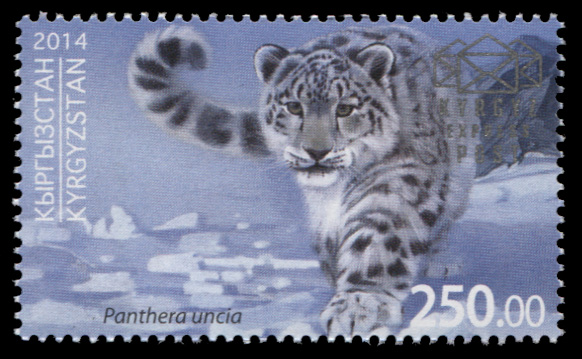 Кыргызстан. 2014. Снежный барс (ирбис) (Почтовая марка. MNH OG)