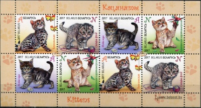 Беларусь. 2017. Котята (Малый лист. MNH OG)