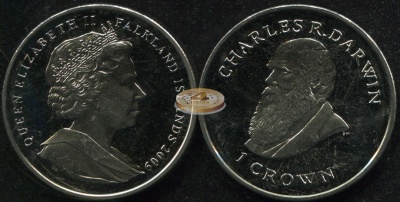 Фолклендские о-ва. 1 крона. 2009 (Unc)