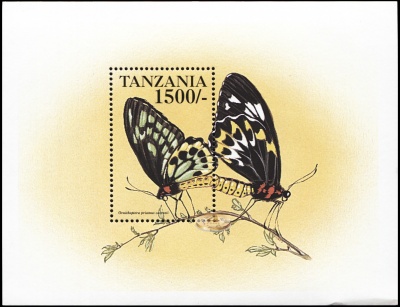 Танзания. 1999. Орнитоптера приам (Блок. MNH OG)