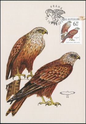 Чехия. 2003. Красный коршун [Milvus milvus] (Картмаксимум. M)
