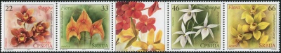 Сербия. 2013. Цветы. Орхидеи (Сцепка. MNH OG)