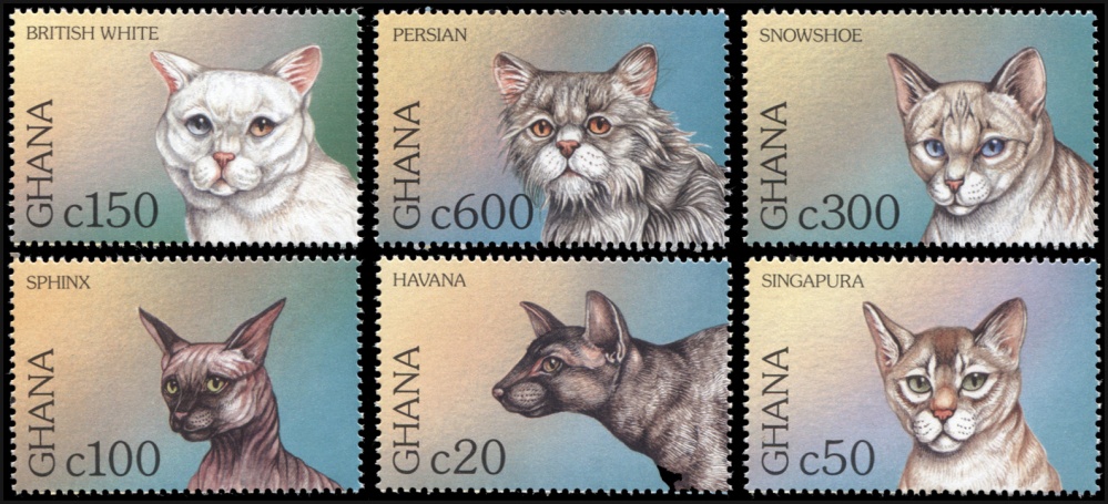 Гана. 1997. Кошки (Серия. MNH OG)