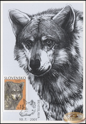 Словакия. 2001. Обыкновенный волк (Картмаксимум. M)