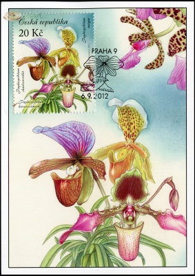 Чехия. 2012. Красота орхидей [Paphiopedilum] (Картмаксимум. M)