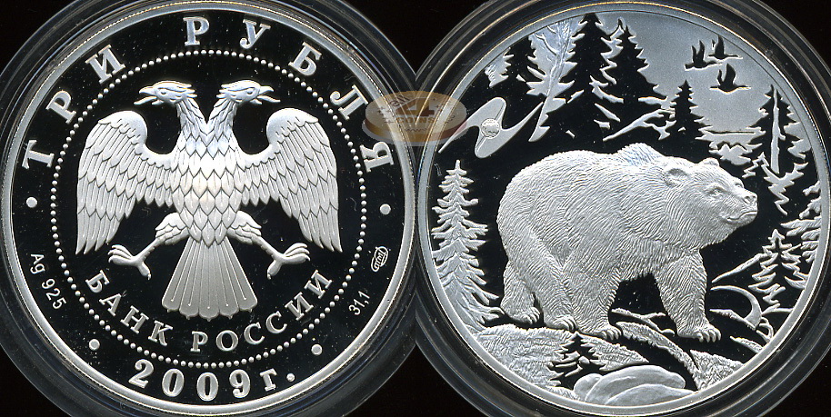 3 рубля. 2009 (Серебро. Proof) Медведь