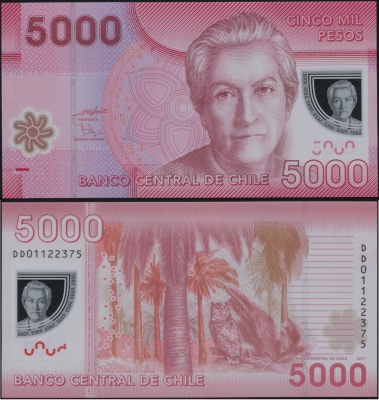 Чили Банкнота 5000 песо 2011 Unc Пластик Кат# P.163b