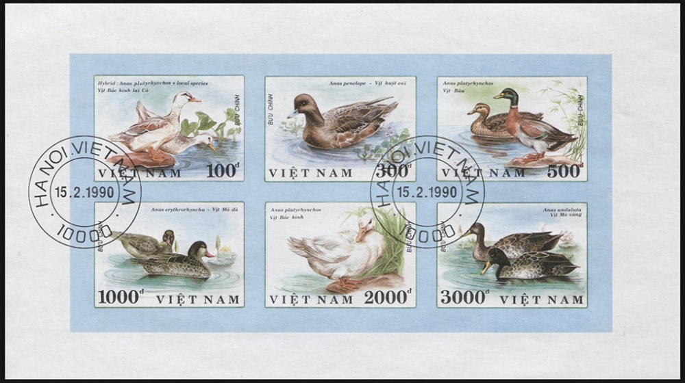 Вьетнам. 1990. Утки (М.Лист. CTO Гашеная)