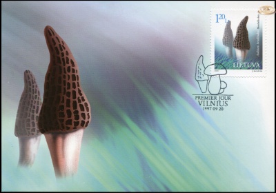 Литва. 1997. Сморчок (Картмаксимум. M)
