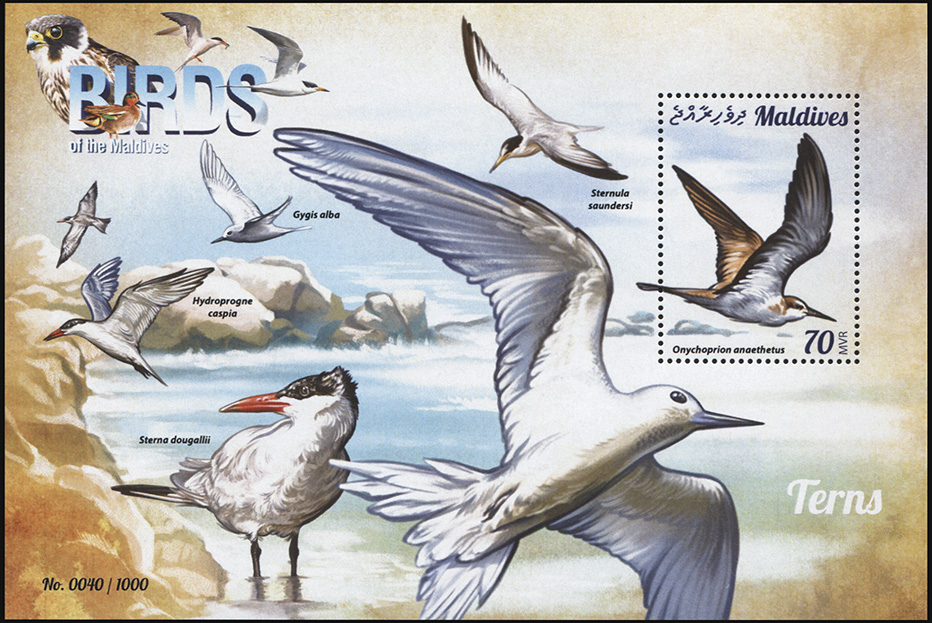 Мальдивы. 2015. Крачковые (Блок. MNH OG)