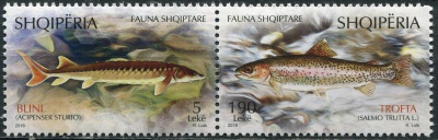 Албания. 2018. Албанские виды рыб (Сцепка. MNH OG)