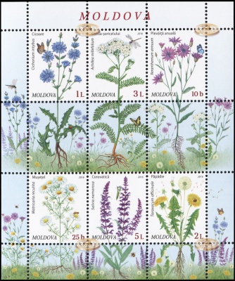Молдова. 2016. Полевые цветы (Малый лист. MNH OG)