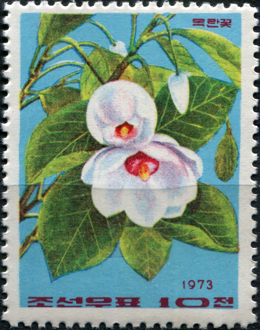 КНДР. 1973. Жасмин (Почтовая марка. MNH)