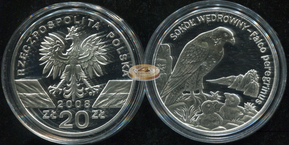 Польша. 20 злотых. 2008 (Proof. Серебро)