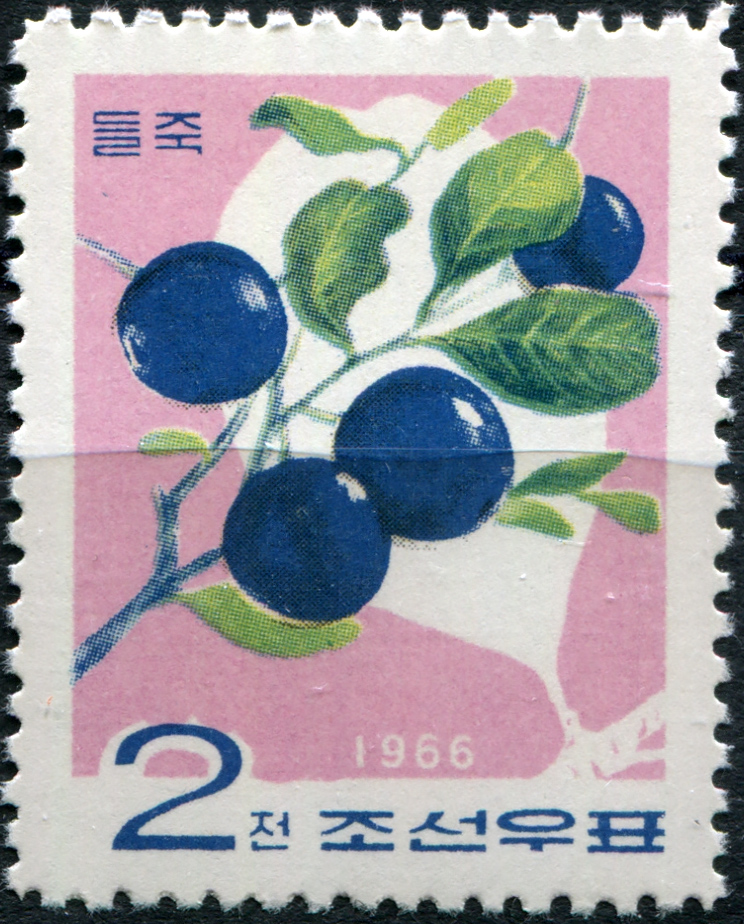 КНДР. 1966. Голубика (Vaccinium uliginosum) (Почтовая марка. MNH)