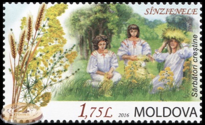 Молдова. 2016. Sînzienele (Почтовая марка. MNH OG)