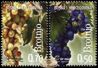 Босния и Герцеговина. 2008. Дни урожая винограда (Серия. MNH OG)