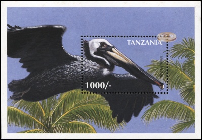 Танзания. 1997. Американский бурый пеликан (Блок. MNH OG)