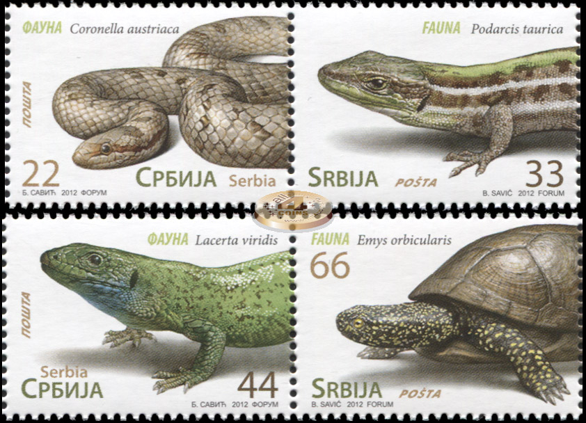 Сербия. 2012. Рептилии (Серия. MNH OG)