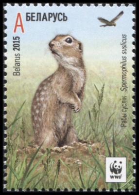 Беларусь. 2015. Крапчатый суслик. A (Почтовая марка. MNH OG)