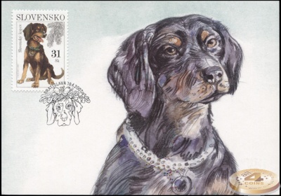 Словакия. 2007. Словацкий копов (Картмаксимум. M)