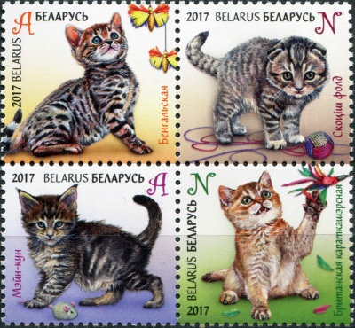 Беларусь. 2017. Котята (Квартблок. MNH OG)