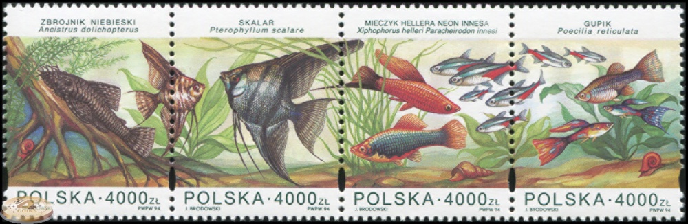 Польша. 1994. Аквариумные рыбы (Сцепка. MNH OG)