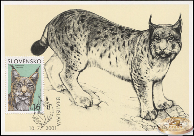 Словакия. 2001. Рысь (Картмаксимум. M)