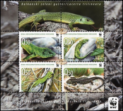 Босния и Герцеговина. 2010. Балканская зеленая ящерица (Сцепка. MNH OG)
