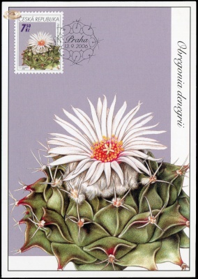 Чехия. 2006. Кактус - Obregonia denegrii (Картмаксимум. M)