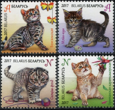 Беларусь. 2017. Котята (Серия. MNH OG)