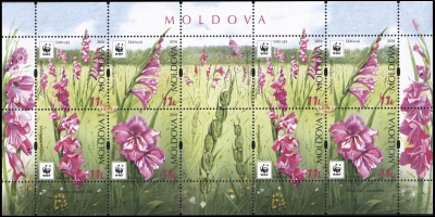 Молдова. 2016. Охраняемая Флора. Гладиолус (Малый лист. MNH OG)