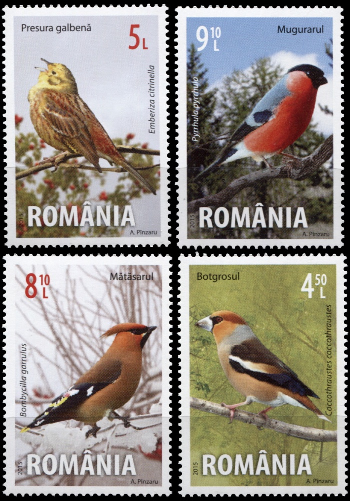 Румыния. 2015. Певчие птицы (Серия. MNH OG)