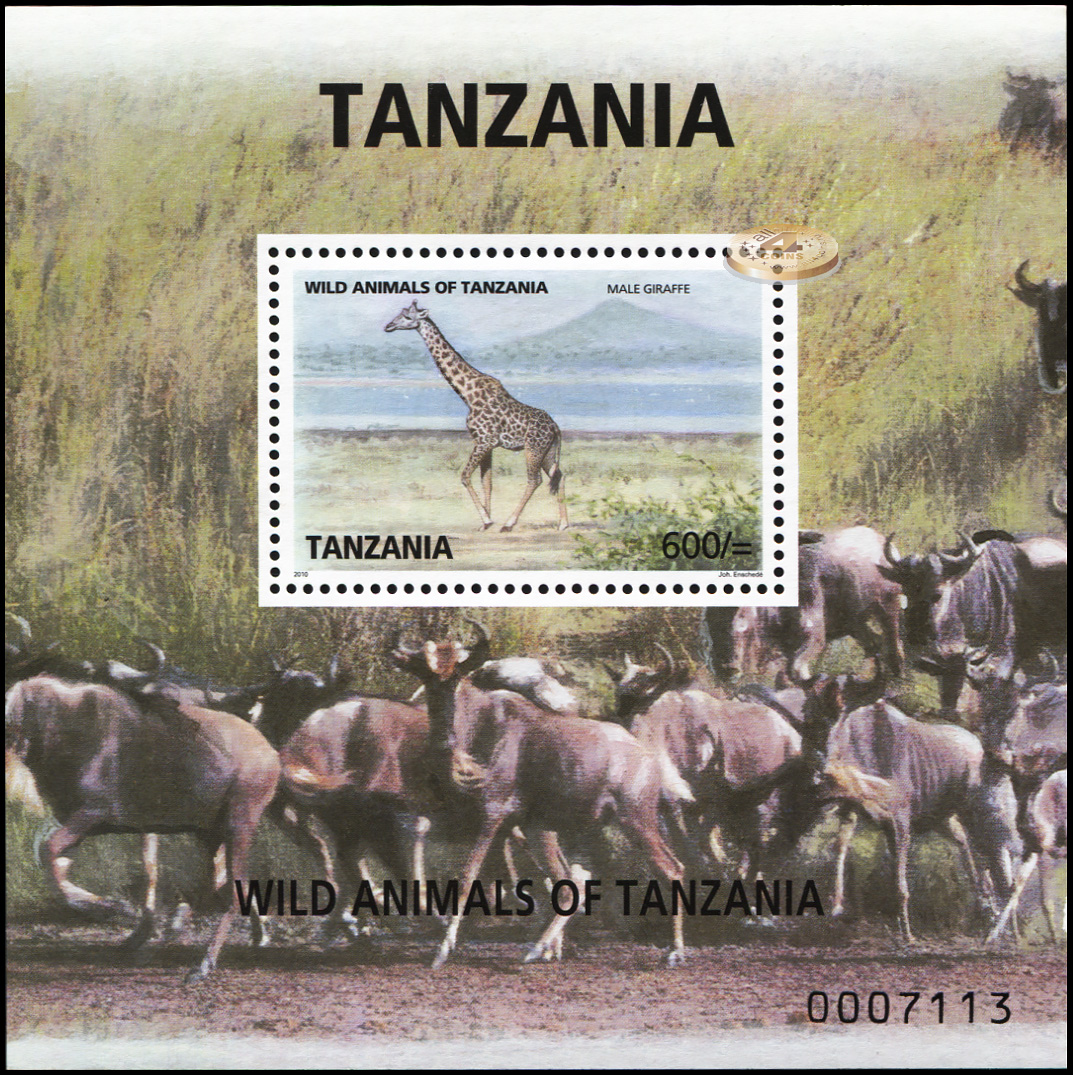 Танзания. 2010. Жираф (Блок. MNH OG)