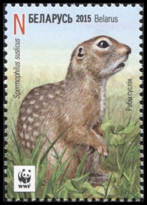 Беларусь. 2015. Крапчатый суслик. N (Почтовая марка. MNH OG)